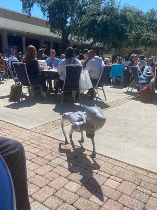 12 dog with people.16 PM